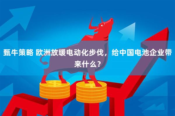 甄牛策略 欧洲放缓电动化步伐，给中国电池企业带来什么？