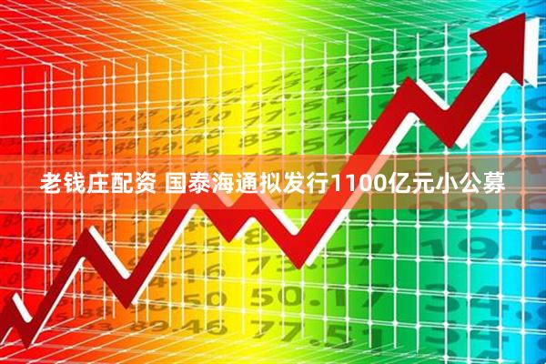 老钱庄配资 国泰海通拟发行1100亿元小公募